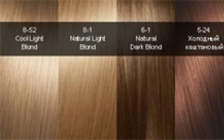 Ո՞ւմ է սազում մոխրագույն շիկահեր մազերի գույնը և ինչպես հասնել իդեալական երանգի Dye 6