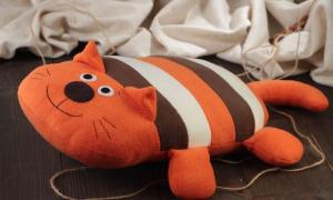 Poduszki dla kotów DIY na każdy gust