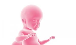 Zdjęcie płodu, zdjęcie brzucha, USG i film o rozwoju dziecka Ciąża 26 tydzień pępka